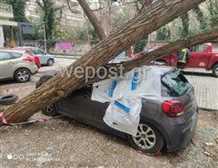 Δέντρο έπεσε πάνω σε αυτοκίνητο στην ανατολική Θεσσαλονίκη (ΦΩΤΟ)