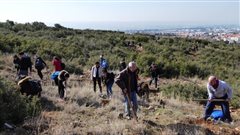 Θεσσαλονίκη: Εκατοντάδες δέντρα φύτεψαν εθελοντές φοιτητές