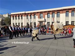 Καλαμαριά: Η καμήλα κι ο ντιβιτζής ξεσήκωσαν τη Χριστουγεννιάτικη πλατεία