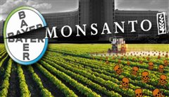 Η Monsanto παραδέχθηκε ότι χρησιμοποίησε παράνομο ζιζανιοκτόνο