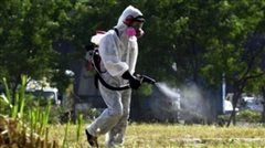 Συμπληρωματικές δράσεις στους Δήμους, για την καταπολέμηση των κουνουπιών