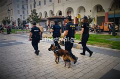 Αστυνομικοί σκύλοι περιπολούν από σήμερα στο κέντρο της Θεσσαλονίκης