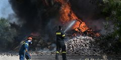 Συναγερμός για φωτιά στην Κάρυστο: Καίει δάσος -Επιχειρούν 47 πυροσβέστες