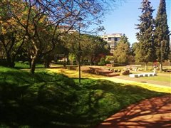 'Ενα πάρκο στολίδι στην Καλαμαριά (φωτο)