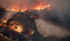 Αυστραλία: Βιβλική καταστροφή 23 νεκροί, μισό δισεκ. ζώα καμμένα!