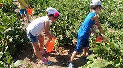 Μόνο Για Παιδιά: Καλοκαίρι στο Αγρόκτημα 2024 στην Αμερικανική Γεωργική Σχολή